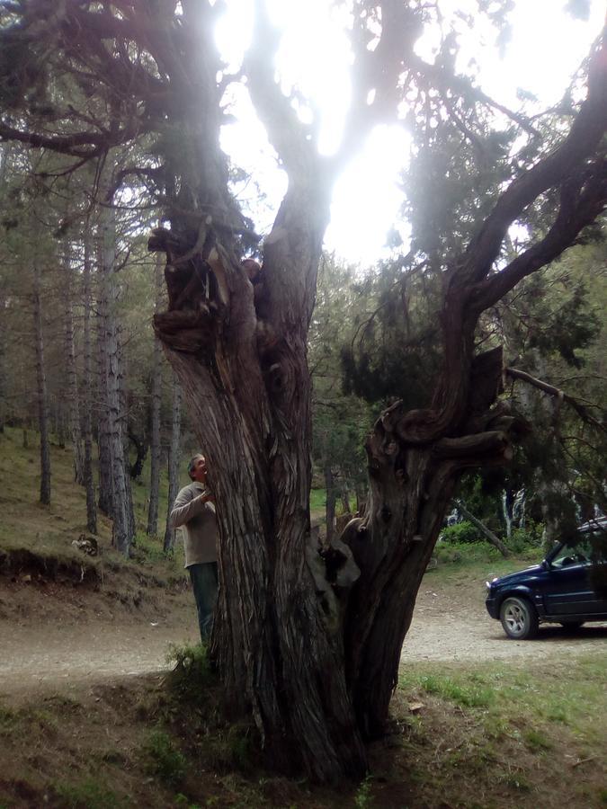 Casa Alhambras Βίλα Manzanera Εξωτερικό φωτογραφία